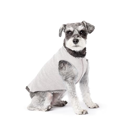 Goldpaw Dog Sun Shirt with UV Protection - Lightweight, Cooling Sun Protection Clothing for Small Dogs - Reduce Heat Absorption - Pet Clothes Made in the USA - Machine Washable - Pebble Grey - Size 10 - color: Pebble Grey, size: 10