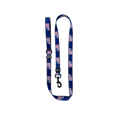 ShawnCo Dream Walk Dog Leash- Premium, Nylon Pet Leash with Soft Neoprene Handle for Small, Medium and Large Dogs (USA Flag, Small) - color: USA Flag, size: Small