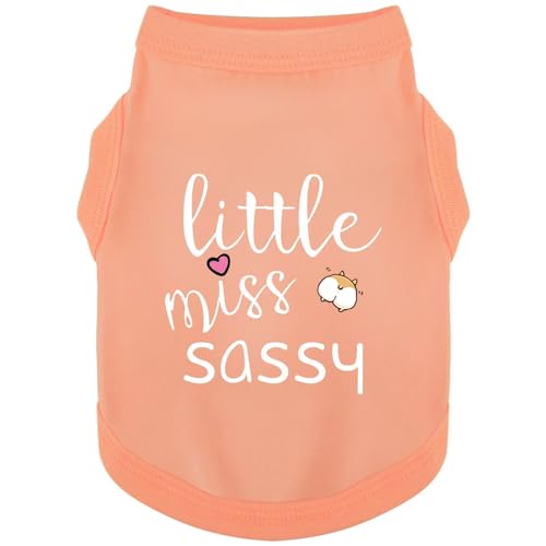 Paiaite Dog Clothes Fashionable Sleeveless Pet Vest: 'Little Miss Sassy' Printed Cotton Dog Shirt, Ideal for Small, Medium, and Large Breeds, Ensuring Comfort and Breathability Orange Pink XS - color: Orange Pink, size: XS-(2~6lb) | Chest(~13.7")