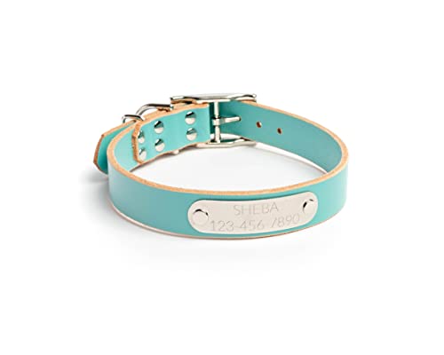 Handmade Personalized Bridle Leather Dog Collar, Engraved Stainless Steel Nameplate (Robin's Egg Blue) - color: Robin's Egg Blue
