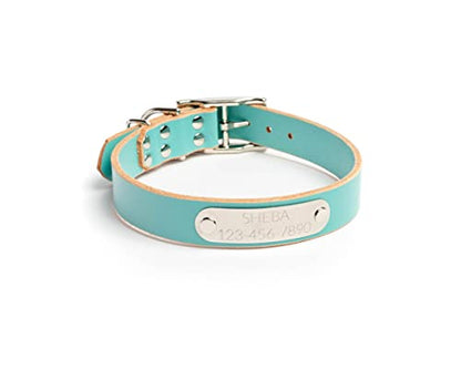 Handmade Personalized Bridle Leather Dog Collar, Engraved Stainless Steel Nameplate (Robin's Egg Blue) - color: Robin's Egg Blue