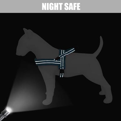 Didog Soft Flannel Padded Dog Vest Harness, No Pull/Quick Fit Reflective Dog Strap Harness, Easy for Training Walking (M:Chest 21-26", Blue) - color: Blue, size: M:chest 21-26"