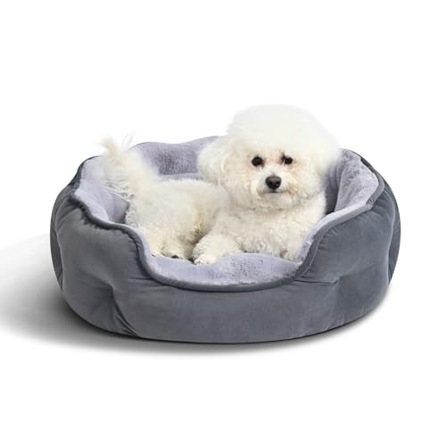 Amazon Basics Round Dog Bed for Small Dogs, Cat Beds for Indoor Cats, Washable Puppy Bed with Soft Plush Cushion, Anti-Slip Bottom, 20x19x6 Inches, Gray - size: S-20"×19"×6"