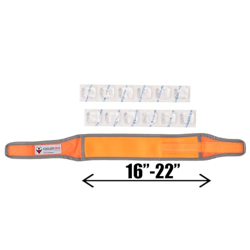 CoolerDog Hi-Vis Cooling Dog Collar for Medium Dogs – Reflective Re-Freezable Ice Collar for Hot Weather & Heat Relief (Orange, Medium) - size: Medium