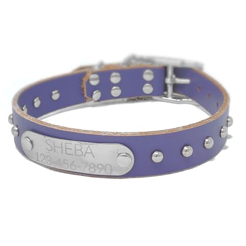 Handmade Studded Bridle Leather Dog Collar, Silver Tone Hardware and Stainless Steel Nameplate (Periwinkle Purple) - color: Periwinkle Purple