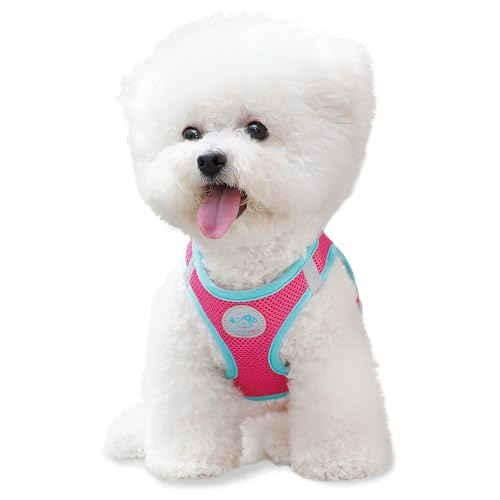 PHOEPET Step-in Dog Harness,Reflective Adjustable Dog Vest Harness, Soft Pet Walking Jacket with 2 Metal Leash Hooks for Dog and Cat(Pink Base & Green Straps,XS) - color: Pink Base & Green Straps, size: XS (Neck: 9-10”,Chest: 11.5-13”)