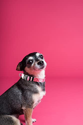 Dog Collar, Cute Floral Pattern, Soft and Adjustable Collar with Quick Release Buckle (XS (Neck 9-13", Width 3/8"), Hawaiian Pink) - color: Hawaiian Pink, size: XS (Neck 9-13", Width 3/8")