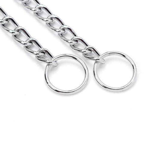 Silver Dog Chain Collars Metal Slip Link Training Dog Collar Heavy Duty Martingale Dog Collars for XXS XS Small Medium Large Breed Pets Boys Girls - color: Silver, size: XS(Neck Max 12inch)D2.0mm