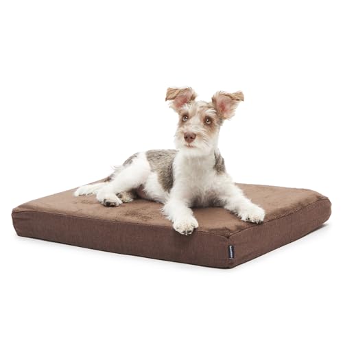 Barkbox Orthopedic Dog Bed | Comfortable Memory Foam Mattress for Joint Relief | Head and Neck Support Waterproof with Non Skid Bottom | Calming Durable Bed with Washable Cover | Small, Espresso - color: Espresso, size: Small