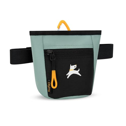 OllyDog Goodie Treat Bag, Dog Treat Pouch, Waist Belt Clip for Hands-Free Training, Magnetic Closure, Dog Training and Behavior Aids, Three Ways to Wear (Surf) - color: Surf