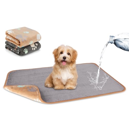 Waterproof Dog Blankets, 2 Pack Washable Dog Blankets for Bed Couch Sofa Protector Fleece Flannel Puppy Blanket Soft Plush Reversible Throw Blanket for Small Dogs Puppy Cat 23"×16"(Grey+Coffee) - color: Grey+coffee(2pack), size: 23"×16"