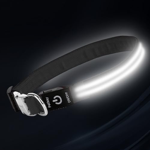 LED Dog Collar with Metal Buckle - USB Rechargeable Glow Collar for Dogs, Waterproof Light Up Dog Collar w/Reflective Strips - Adjustable Night Safety Collars by PetIsay(White, S) - color: White(Fiber optic version), size: Small (11" - 15½ ")