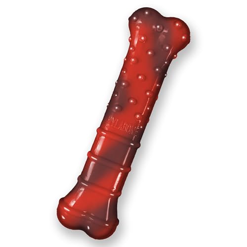 Nylabone Textured Bone Power Chew Toy for Dogs, Durable & Tough Dog Toys for Aggressive Chewers, Beef Jerky Flavor, Medium Dogs - Up to 35 lbs, 1 Count - size: Medium