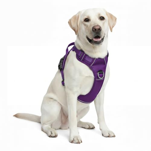 No Pull Dog Harness with 2 Leash Clips, Adjustable Soft Padded Reflective Oxford Pet Vest with Easy Control Handle for Large Dogs (Purple, Large) - color: Purple, size: Large