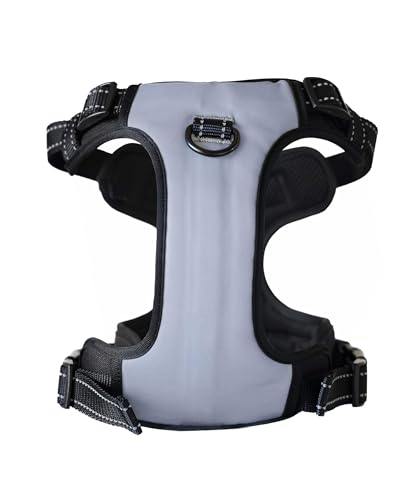 5-in-1 Reflective Dog Harness with Built-in 5ft Leash & Seatbelt Clip, Waste-Bag Pouch + 3 Rolls, Adjustable Quick-Fit Buckles, Breathable Mesh, Dual D-Rings, Small - size: Small