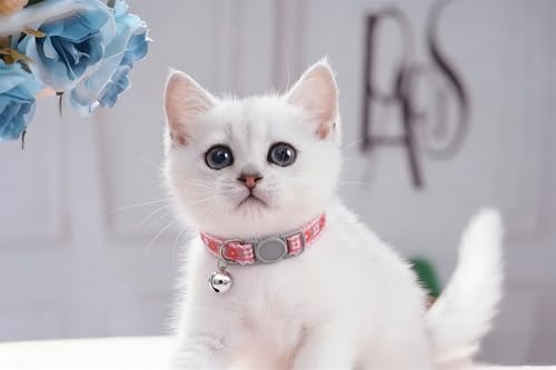 2 Pack Cat Collar with Bells, Purple Flower Collars for Cats Breakaway Safety Buckle Girl Kitten Collars with Bells Cute Fancy Boy Female for XXS XS Tiny Little Puppy Pet Dogs,Neck 7-12 Inch - color: Purple