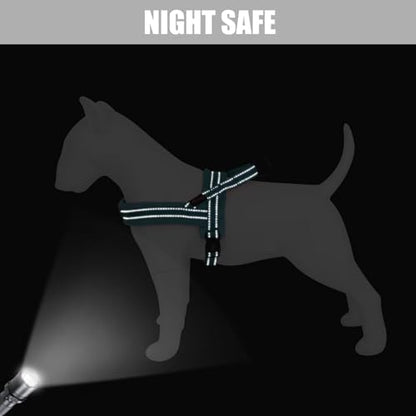 Didog Soft Flannel Padded Dog Vest Harness,Escape Proof/Quick Fit Reflective Dog Strap Harness, Easy for Training Walking(XS:Chest 15-18", Teal) - color: Teal, size: XS:chest 15-18"