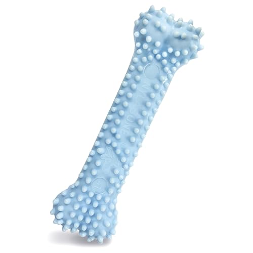 Nylabone Puppy Chew Blue Textured Teething Bone - Chewing Toys for Puppies - Puppy Supplies - Chicken Flavor, X-Small Dogs - Up to 15 Ibs, 1 Count - color: Blue, size: X-Small