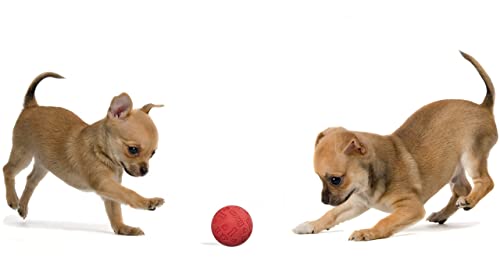 Snug Rubber Dog Balls for Small and Medium Dogs - Tennis Ball Size - Virtually Indestructible (3 Pack - Red) - color: Red