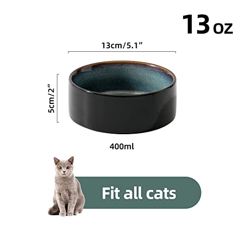 Havniva Cat Bowls Water Bowl Set of Two, 5.1” Ceramic Cat Food and Water Bowl Whisker Friendly Pet Food Bowls for Indoor Cats, Wide Cat Water Dish Prevent Whisker Fatigue Non Slip Cat Feeder - color: 2 x Bowl - Starry Sky