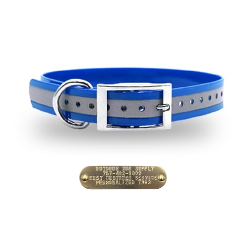 Outdoor Dog Supply Personalized 1" Reflective Light Blue Extra Long D-Ring Dog Collar with Custom 3/4" Brass Nameplate | Waterproof, Odor-Resistant, Adjustable for Large and Giant Breed Dogs - color: Light Blue