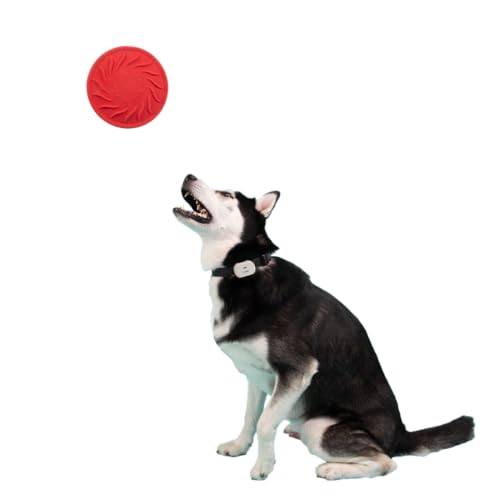 Jolly Pets Tuff Range; Tuff Flyer; 8.5" Flying Disc Dog Chew Toy