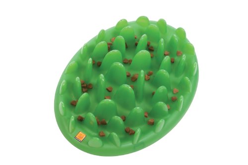 Company of Animals GREEN Slow Interactive Feeder for Dogs, Size Large, Best Fun Slow Feeder Dog Bowl, Anti-Gulp, Gobble Stopper, Mental Stimulation Dog Puzzle, Suitable for Small, Medium & Large Dogs - size: Large