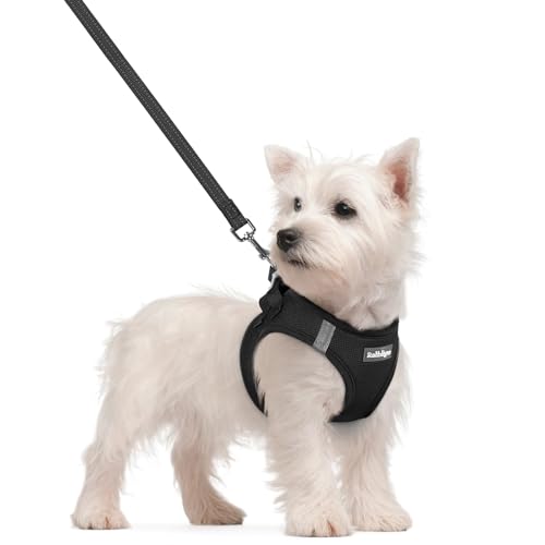 rabbitgoo Dog Harness Small Sized and Leash Set, Step in Soft Light Puppy Vest, Breathable Mesh Pet Harness, Reflective for Safe Easy Walking, Black S - color: Black, size: S (chest: 15.1 - 16.5")