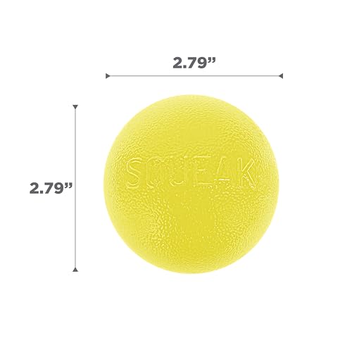 Outward Hound by Planet Dog Squeak Ball Bouncy Fetch Dog Toy, Yellow - color: Yellow Squeak Toy