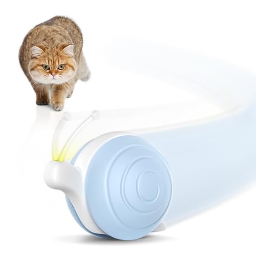 Cheerble Interactive Cat Toy for Indoor Cats, Wicked Snail Kitten Toys, Automatic Cat Toys with LED Lights, Rechargeable Moving Toys for Cats, Smart Stimulating Electric Pet Toy(Blue) - color: Blue