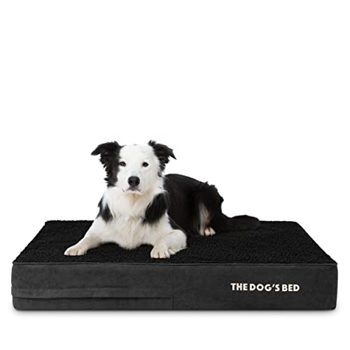 The Dog’s Bed Orthopedic Memory Foam Dog Bed for Large Dogs, Waterproof Washable Cover, Anti-Slip Base, Calming Surface – CertiPUR-Certified Foam, Black Plush, 6 Inch Thick - color: Black Plush, size: Large Beds (6" deep)