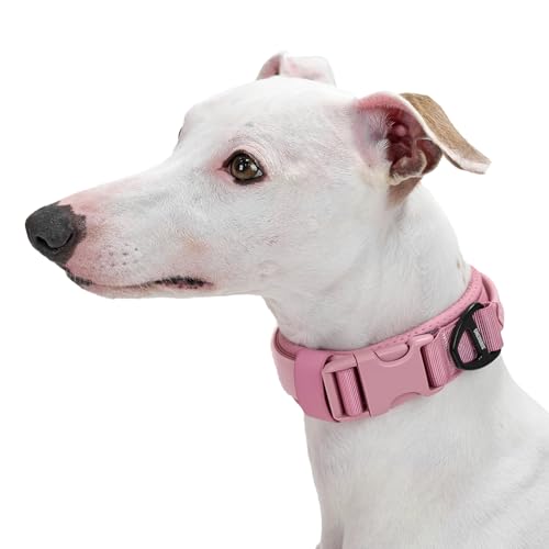 OneTigris Small Dog Collar with Handle, Soft and Adjustable Nylon Collar with Quick-Release Buckle, Lightweight No-Choke Design for Small Dogs(Pink, XS) - color: Pink, size: XS(10"-13")