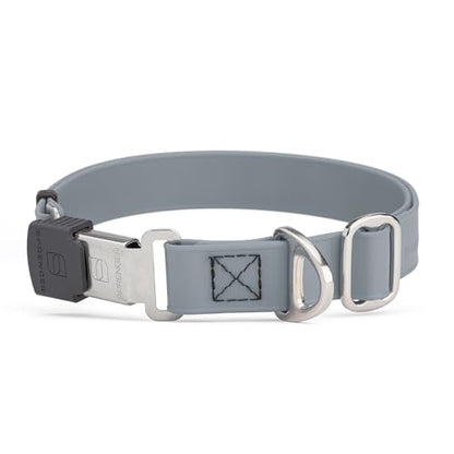 Biothane Waterproof Durable Dog Collar with Herm Sprenger - Quick Release ClicLock Buckle - Fits Medium and Large Dogs - Made in USA (Battleship Gray, W 1" x L 15"-25") - color: Battleship Gray, size: W 1" x L 15"-25"