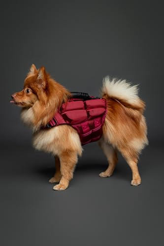 NOAH & PAW Dog Life Jacket, Human Standards Lifejacket Design, Dog Life Vest for Swimming and Boating, 3X Foam Support for Max Floating, Breathable Mesh, Salvavidas para Perros, Size S - size: S