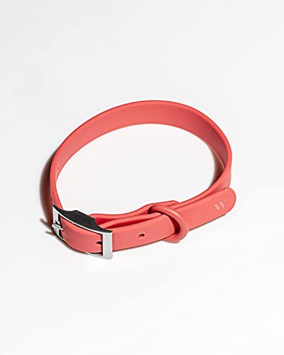 Wild One Dog Collar, Easy-Clean, All Weather Flex-Poly Strap with Metal, Durable, Dirt and Odor Resistant (Strawberry, S) - color: Strawberry, size: S