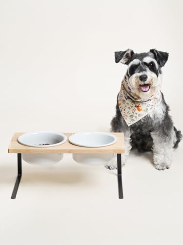 Elevated Dog Bowls, Raised Dog Bowl Stand with Two 6.5 inch Ceramic Bowl, Non-Slip Puppy Food and Water Bowls, Dogs Feeder for Small and Medium Breed, White - color: White, size: 6.5inch