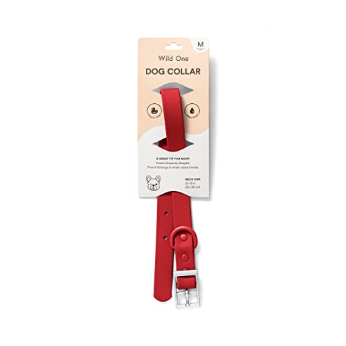 Wild One Dog Collar, Easy-Clean, All Weather Flex-Poly Strap with Metal, Durable, Dirt and Odor Resistant (Strawberry, M) - color: Strawberry, size: M