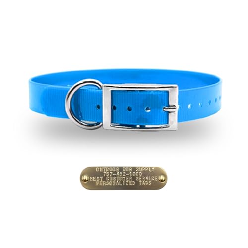 Outdoor Dog Supply 1" Heavy Duty Waterproof D-Ring Dog Collar for Medium & Large Dogs with Custom 3/4" Brass Nameplate (Light Blue, 18") - color: Light Blue, size: 18" Long