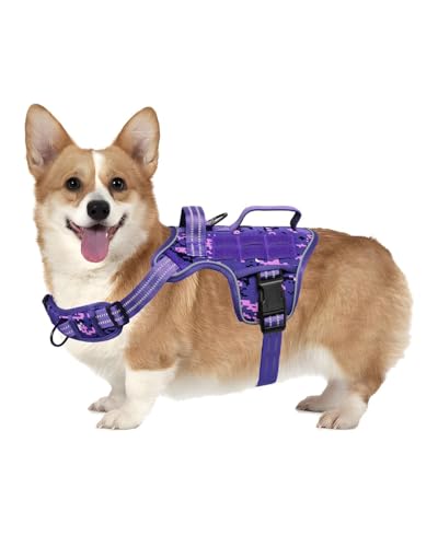Small Dog Harness, Heavy Duty Tactical No Pull Dog Harness, No Choke, Easy On and Off Pet Vest with Molle System, Adjustable Reflective Dog Vest with Breathable Padded for Walking Hiking Training - color: Purple Camo, size: S(Neck:16-22",Chest:20-28"),18-