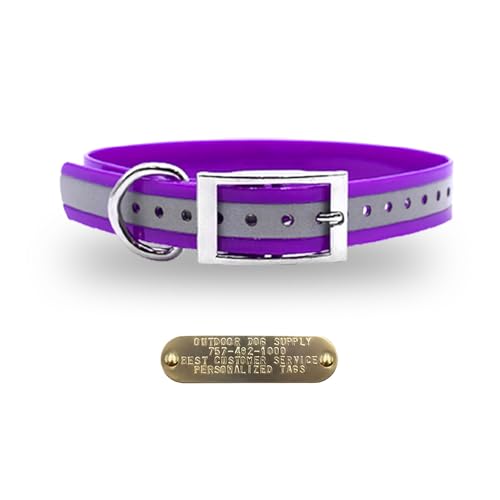 Outdoor Dog Supply Personalized 1" Reflective Purple Extra Long D-Ring Dog Collar with Custom 3/4" Brass Nameplate | Waterproof, Odor-Resistant, Adjustable for Large and Giant Breed Dogs - color: Purple