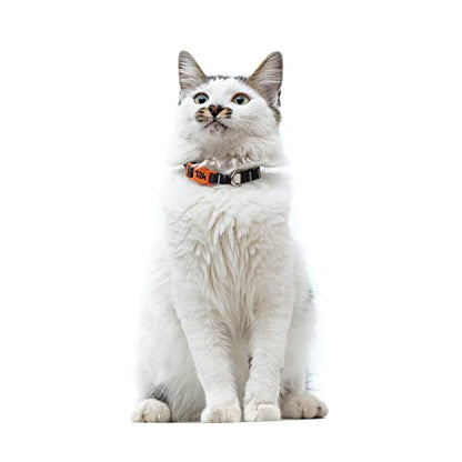 Breakaway Cat Collar – Stylish & Safe Adjustable Kitten Collar Breakaway – Cute Cat Collar for Kittens & Cats – Soft Pet Collar for Girls & Boys – Cat Accessories (Eclipse) - color: Eclipse