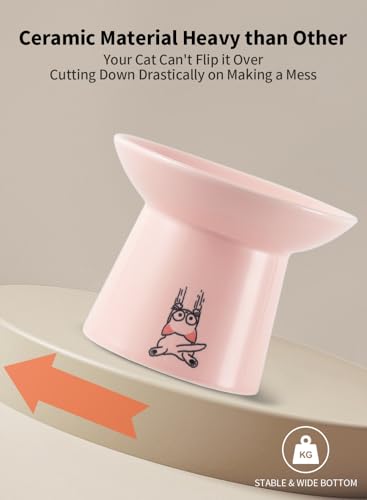 Extra Wide Elevated Ceramic Cat Bowls, 6.5 Inch Raised Pet Bowl Set for Food & Water, Whisker Fatigue Shallow Food Dish for Elder Big Cats Small Dogs, Set of 2, Green & Pink - color: Green & Pink