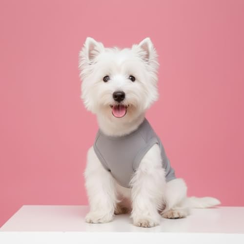 Chol&Vivi Dog Shirts, 4pcs Soft Cotton T-Shirt Clothes, Blank Hoodie/Sweatshirt, XS (14' Chest), Black, Grey, White, Dark Green - color: Black, Grey, White, Dark Green, size: XS (13" Chest)