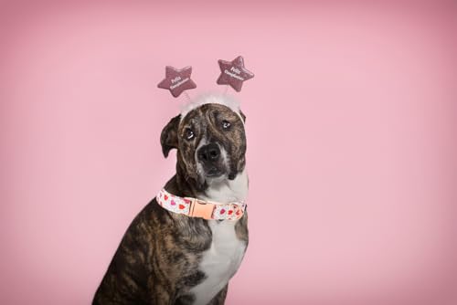 Lionet Paws Valentine Dog Collar, Heavy-Duty Cute Pink Heart Pattern Collar with Metal Buckle Pet for Puppy and Cats, X Small, Neck 8-12 inches - color: Hearts, size: X-Small (Pack of 1)
