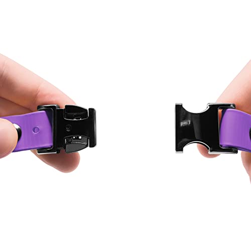 Educator Quick Snap 3/4" Bungee Dog Training Collar Strap – Fits ME-300, ET-300/400, EZ-900, PE-900 & PG-300 – Trim-to-Fit Biothane Collar for Small Dogs, Purple - color: Purple