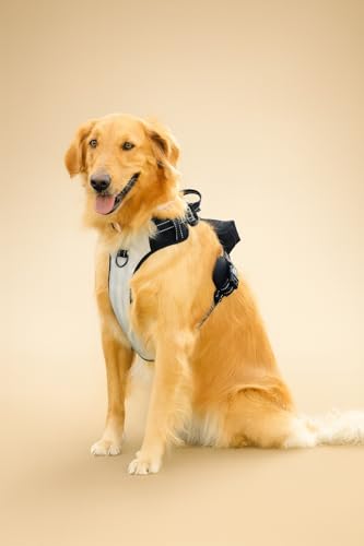 5-in-1 Reflective Dog Harness with Built-in 5ft Leash & Seatbelt Clip, Waste-Bag Pouch + 3 Rolls, Adjustable Quick-Fit Buckles, Breathable Mesh, Dual D-Rings, Large - size: Large