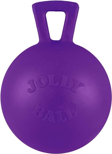 Jolly Pets Tug-n-Toss Heavy Duty Dog Toy Ball with Handle, 4 Inches/Petite, Purple (404 PR) - color: Purple, size: 4 inches/Petite