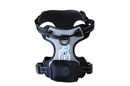 5-in-1 Reflective Dog Harness with Built-in 5ft Leash & Seatbelt Clip, Waste-Bag Pouch + 3 Rolls, Adjustable Quick-Fit Buckles, Breathable Mesh, Dual D-Rings, Small - size: Small
