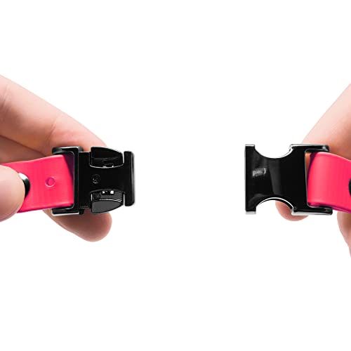Educator 3/4-Inch Dog Training Collar Strap ONLY Fits ME-300 ET-300/400 EZ-900 PE-900 PG-300 Receivers NOT FE-580 ET-800 UL-1200 Quick Snap Biothane Bungee Collar 33 Inch, Pink - color: Pink