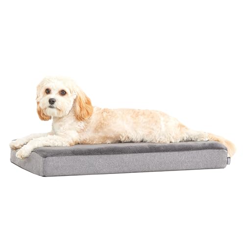 Barkbox Orthopedic Dog Bed with Memory Foam, Premium Comfort for Dogs and Puppies, Dog Beds for Joint Relief and Restful Sleep, Durable and Easy to Clean - Grey, Medium - color: Grey, size: Medium